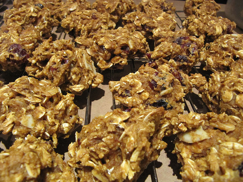 Oatmeal Cranberry Almond Cookies